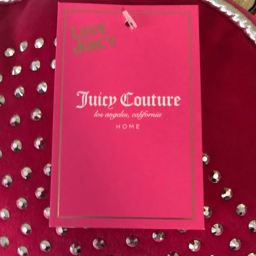 Juicy Couture nwt juicy